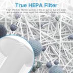 PuriCare 360 Filter Replacement Compatible with LG PuriCare 360 Purifiers AS601HBB0, 1 Pack