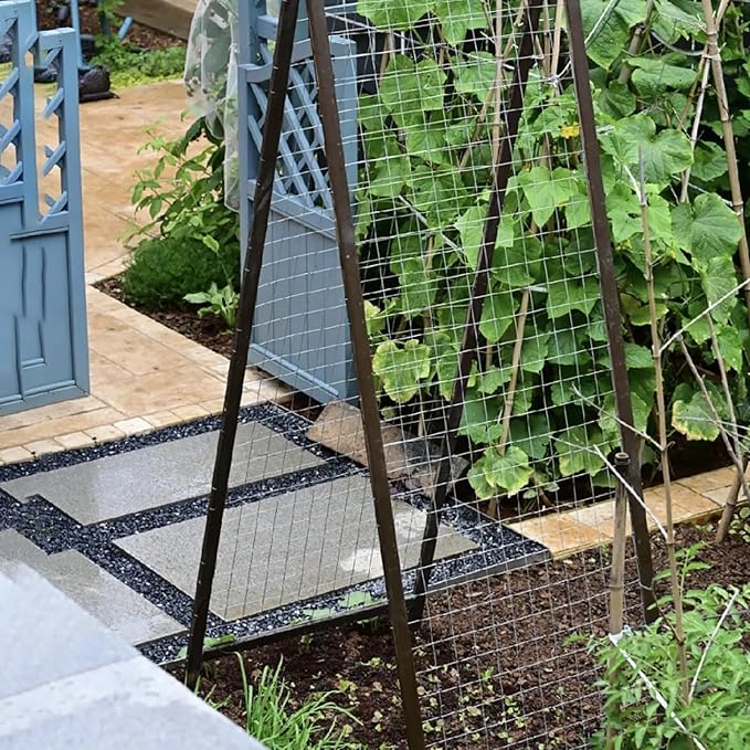 Livestock Fencing Roll Galvanised Welded Wire Mesh Roll Garden Chicken Wire Animals Enclosure for Chickens, Rabbits, Dogs, Window Guards Vegetable Protection for Indoor or Outdoor ( Size : L:1m-H:1m-2