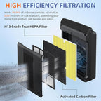 116130 HEPA Pet Care Replacement Filter H for Winix 5500-2 Am80 Plasmawave Air Purifier True HEPA Carbon Filter,2 Set,Yellow