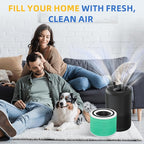 Core 300 Toxin Absorber Replacement Filter for Levoit Core 300-p, Core 300S, Core 300, Core 300-RF, Core 300-RAC Air Purifier, 3-in-1 H13 True HEPA Activated Carbon Filter by APPLIANCEMATES(Green)