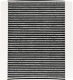P606555 Cabin Air Filter with Activated Carbon Compatible with Truck VN 430 630 670 730 780 VNL 300 430 630 670 760 860 Replaces 20435801,PA4681,AF26405,PA10187,49084(set of 4)