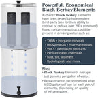 Berkey Authentic Black Berkey Purification Elements - Berkey Water Purifier Replacement Filters (Pack of 2)