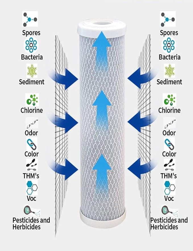CFS – 10" x 2.5" Carbon Block Water Filter Cartridges Compatible with FXWTC, 3WH-STDCW-F02, GXWH04F, GXWH20S Models – Remove Bad Taste & Odor – Whole House Replacement Filter Cartridge - 2 Pack