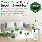 2 Pack Purple HY4866 Air Purifier Replacement Filters – Compatible with MORENTO HY4866, WESTHEY HY4866, YIOU M1 – Multi-Layer True HEPA Filters for Consistent Home Filtration