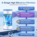 ICEPURE 50 Micron 10" x 4.5" Whole House Extra Coarse Pleated Sediment Filter for Well Water, Replacement Cartridge for GE FXHSC, Culligan R50-BBSA, DuPont WFHDC3001, W50PEHD, R50-BB, 4Pack