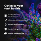 Brightwell Aquatics - Xport-BIO Block Aquarium Filter - Biological Filtration Media for Bacteria Growth, Nutrient Control and Control of Other Unwanted Nutrients - Aquarium Treatments, 12Pack, 1.5inch