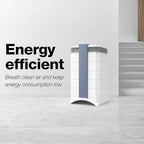 IQAir GC MultiGas XE Air Purifier- 2-Pack – Smart MultiGas Filtration for Rooms up to 2250 sq ft - Chemicals, Odors, VOCs, and Particles, Swiss Made, WiFi Enabled