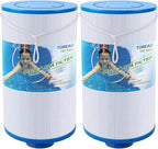 TOREAD Spa Filter Replaces Watkins 303279, FC-2402, PFF42TC-P4, 78460, Lifesmart, Freeflow, AquaTerra Hot Tub Filters, 1 1/2" MPT Thread Fine Thread, 2 Pack