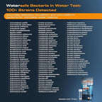 Watersafe® Bacteria Water Test Kit – USA-Made – Results as Fast as 6 Hours – Detects Coliform (Inc. E. coli) & Non-Coliform Bacteria in Drinking, Well & Tap Water – Lab-Quality Testing – 1 Pack