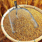 Leaking Soil Shovel Filter Stainless Steel Sieve 4mm/6mm/8mm/12mm Mesh Sifting Shovel for Sifting Corn Kernels Gardening Farm Chicken Coop and Goat Stall Multipurpose Dustpan (Sliver-4MM)