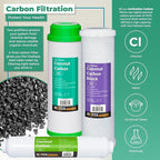 Reverse Osmosis Alkaline pH+ Water Filter Set | 10 Replacement Water Filters with 100 GDP Membrane | 1 Year Supply | Under Sink RO Water Filter | PP, GAC, CTO, ROM, PC, ALK | Universal 10 Inch Size