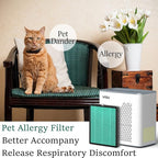 YIOU Air Purifier for Home Large Room up to 547 ft², H13 True HEPA Air Filter 20dB Air Cleaner Odor Eliminator for Allergies Smoke Dust Pollen, Grey, 7"D x 11.5"W x 11.7"H
