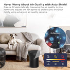 TCL Breeva A2 Air Purifiers for Home Bedroom with Ionizer Up to 441 ft², Auto Mode, H13 True HEPA Filter, 26db Quiet Air Cleaner Filter 99.97% Allergies Smoke Odor Pet Hair Dust Pollen Mold