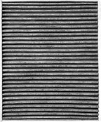 Spearhead Odor Defense Breathe Easy Cabin Filter | Fits 2011-19 Explorer, 2009-19 Flex, 2009-19 Taurus, 2010-16 MKS, 2010-19 MKT Like OEM | Up to 25% Longer Lasting w/Activated Carbon (BE-176)