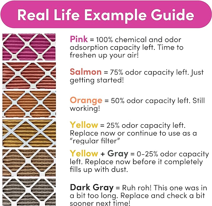 25x25x1 Air Filter by Colorfil | Color Changing Filters for Cat and Dog Odor | MERV 8 Furnace AC Filter for Pet Hair and Dust | 24.5"x24.5"x0.75" Exact Size | Pack of 6