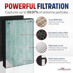 2521/2520 Filter Replacement Compatible with Bissell Air400 Series 24791-3-in-1 True HEPA + Activated Carbon + Pre-Filter by LifeSupplyUSA
