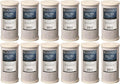 Bluonics Carbon Block Water Filters 12 pcs 4.5" x 10" Cartridges for Chlorine, Taste, and Odors CTO Activated Carbon Filtration Effective at removing Unpleasant Smells
